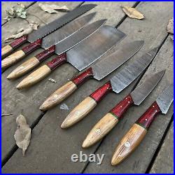 8pcs Pro Best Damascus Steel Chef/Kitchen Knife set With Storage Roll Case Bag 8pcs Pro Best Damascus Steel Chef/Kitchen Knife set With Storage Roll Case Bag