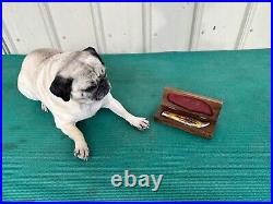 Case XX 5172 Pocket Knife Bulldog with Original Wood Storage Box Case