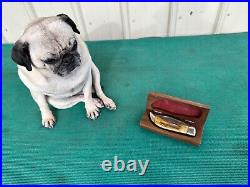 Case XX 5172 Pocket Knife Bulldog with Original Wood Storage Box Case