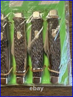 Lot Of 12 Vintage Store Display 3 Blade Stag Pocket Knives Ireland On Card NOS