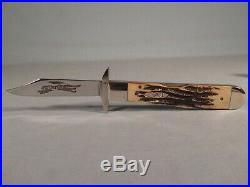 Near Mint 2002 Case XX 6.5111 1/2l Ss Cheetah Bone Stag Knife With Storage Box