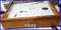 Rare Vtg Case XX Knife Wood Store Counter Display Case No Key