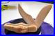 Vintage-Case-Wooden-Pocket-Knife-Store-Display-Folding-Unique-Rare-01-lor