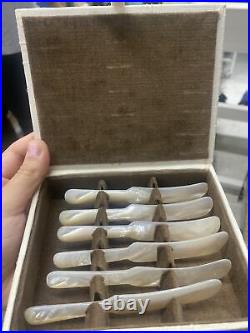 Vintage Mother Of Pearl Caviar Knife Service With Original Storage Case